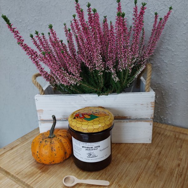 Naturalny Miód ze spadzi iglastej - 400g - obrazek 2