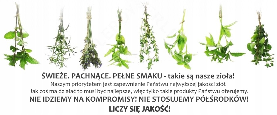 Zielarnia Suwalska – Mieszanka Ziołowa ,,Robaki" z Piołunem i Wrotyczem (cięta) 200 g - obrazek 3