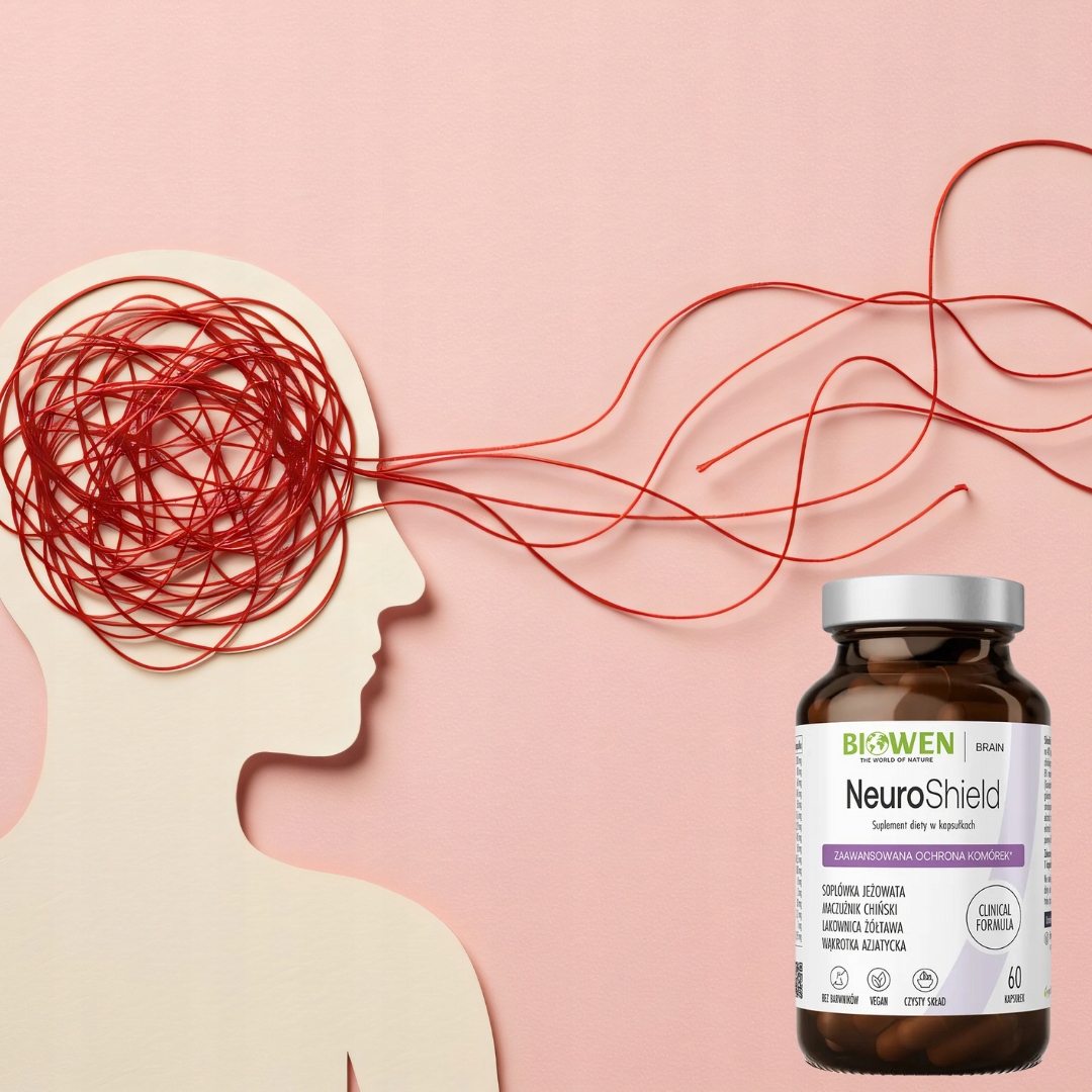 Biowen NeuroShield koncentracja pamięć Lion's Mane Reishi 60 kaps - obrazek 5
